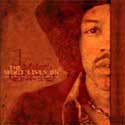jimi hendrix tribute
